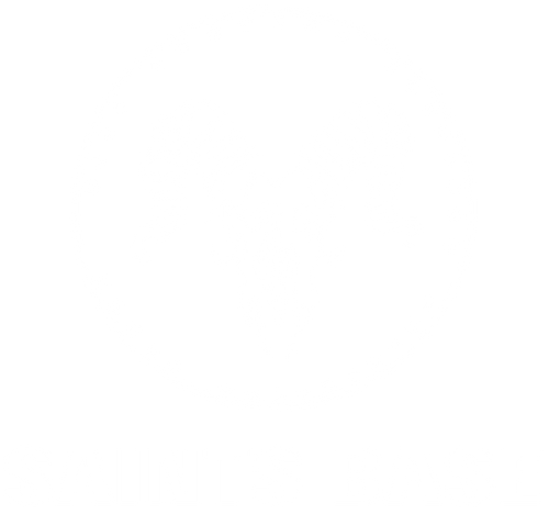 saintsbase