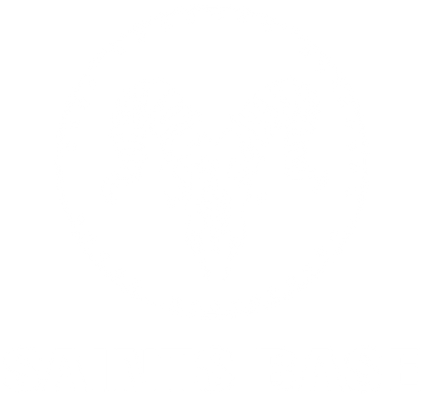 saintsbase